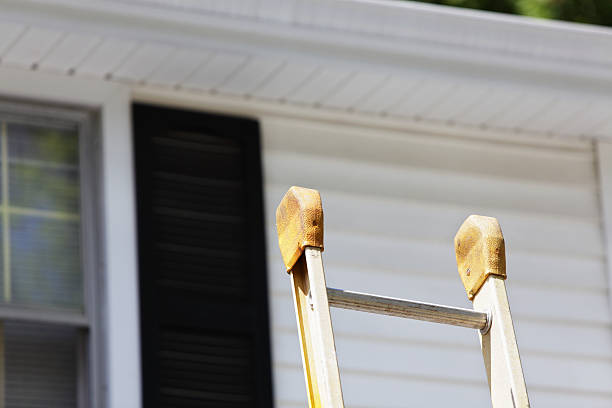 Affordable siding repair and maintenance services in San Leandro, CA